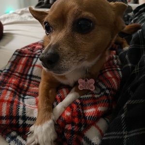 Meet your Posher, Michele